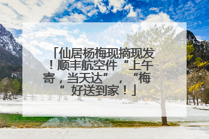 仙居杨梅现摘现发！顺丰航空件“上午寄，当天达”，“梅”好送到家！