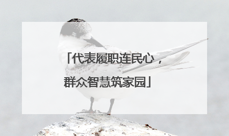 代表履职连民心，群众智慧筑家园