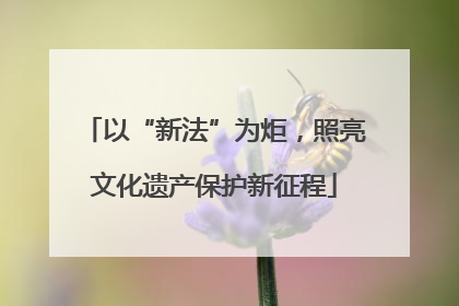 以“新法”为炬，照亮文化遗产保护新征程