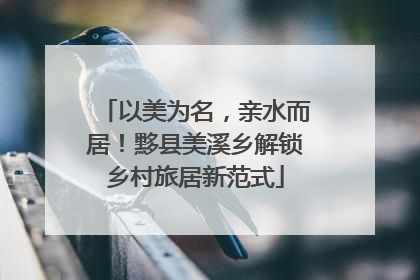 以美为名，亲水而居！黟县美溪乡解锁乡村旅居新范式