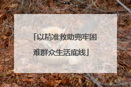 以精准救助兜牢困难群众生活底线