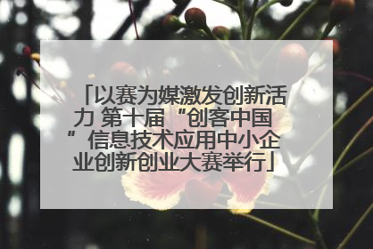 以赛为媒激发创新活力 第十届“创客中国”信息技术应用中小企业创新创业大赛举行