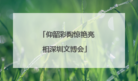 仰韶彩陶惊艳亮相深圳文博会