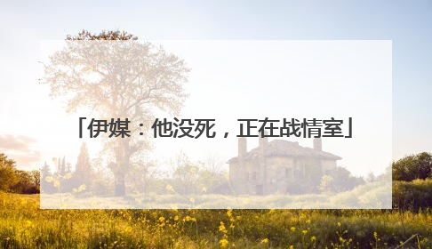 伊媒：他没死，正在战情室
