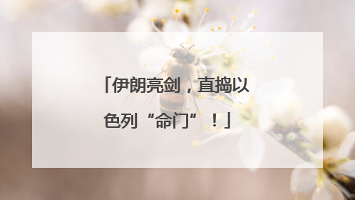 伊朗亮剑，直捣以色列“命门”！