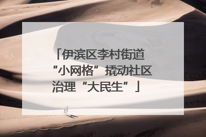 伊滨区李村街道 “小网格”撬动社区治理“大民生”