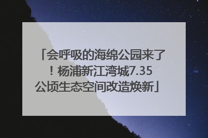 会呼吸的海绵公园来了！杨浦新江湾城7.35公顷生态空间改造焕新