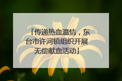 传递热血温情，东台市许河镇组织开展无偿献血活动