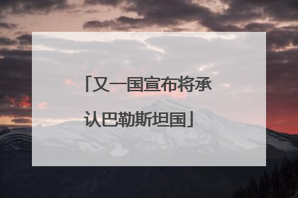又一国宣布将承认巴勒斯坦国