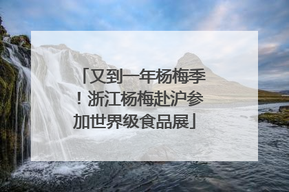 又到一年杨梅季！浙江杨梅赴沪参加世界级食品展