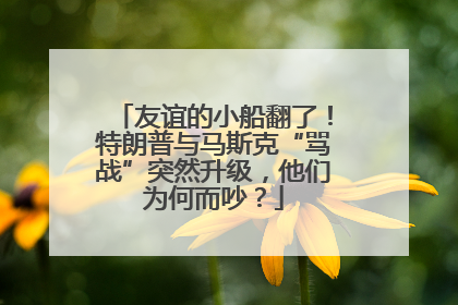 友谊的小船翻了！特朗普与马斯克“骂战”突然升级，他们为何而吵？
