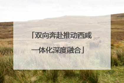 双向奔赴推动西咸一体化深度融合