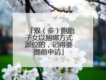 双（多）胞胎子女以捆绑方式派位的，记得要提前申请