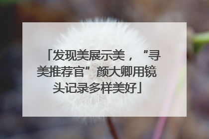 发现美展示美，“寻美推荐官”颜大卿用镜头记录多样美好