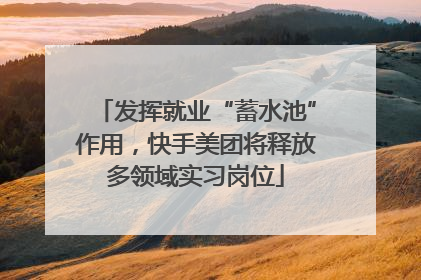 发挥就业“蓄水池”作用，快手美团将释放多领域实习岗位