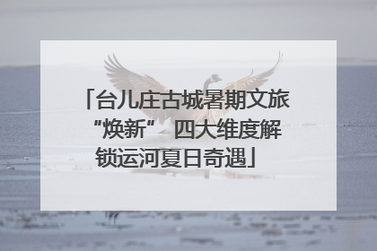 台儿庄古城暑期文旅“焕新” 四大维度解锁运河夏日奇遇