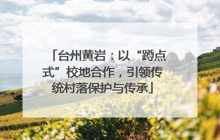 台州黄岩：以“蹲点式”校地合作，引领传统村落保护与传承
