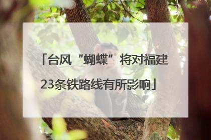台风“蝴蝶”将对福建23条铁路线有所影响