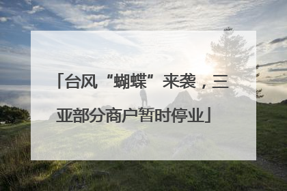 台风“蝴蝶”来袭,三亚部分商户暂时停业