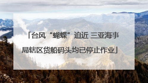 台风“蝴蝶”迫近 三亚海事局辖区货船码头均已停止作业