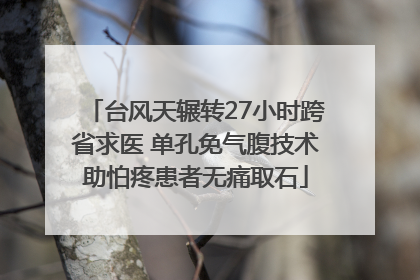 台风天辗转27小时跨省求医 单孔免气腹技术助怕疼患者无痛取石