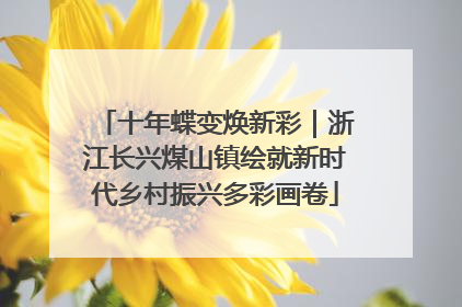 十年蝶变焕新彩｜浙江长兴煤山镇绘就新时代乡村振兴多彩画卷