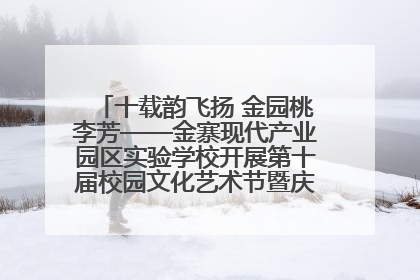 十载韵飞扬 金园桃李芳——金寨现代产业园区实验学校开展第十届校园文化艺术节暨庆“六一”系列活动
