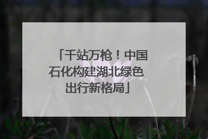 千站万枪！中国石化构建湖北绿色出行新格局