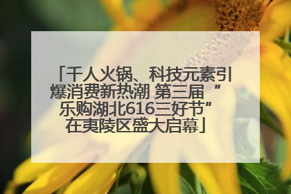 千人火锅、科技元素引爆消费新热潮 第三届“乐购湖北616三好节”在夷陵区盛大启幕