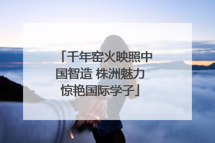 千年窑火映照中国智造 株洲魅力惊艳国际学子
