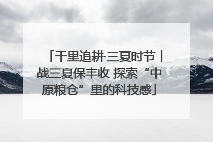 千里追耕·三夏时节丨战三夏保丰收 探索“中原粮仓”里的科技感