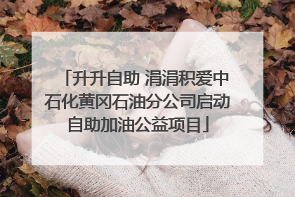 升升自助 涓涓积爱中石化黄冈石油分公司启动自助加油公益项目