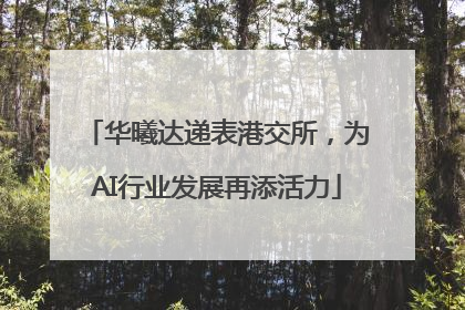 华曦达递表港交所，为AI行业发展再添活力