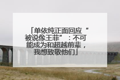 单依纯正面回应“被说像王菲”：不可能成为和超越前辈，我想致敬他们