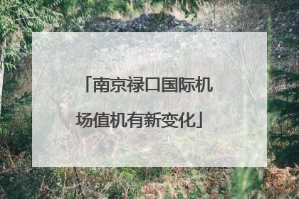 南京禄口国际机场值机有新变化