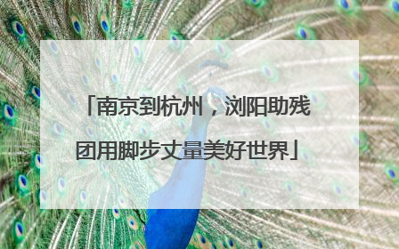 南京到杭州，浏阳助残团用脚步丈量美好世界