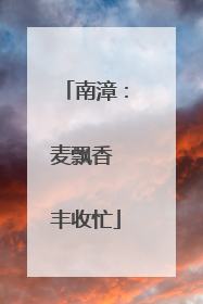 南漳：麦飘香 丰收忙