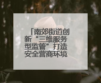 南郊街道创新“三维服务型监管”打造安全营商环境新高地