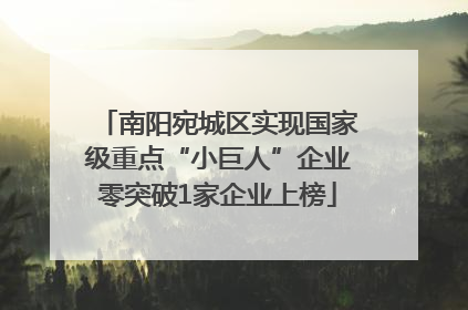 南阳宛城区实现国家级重点“小巨人”企业零突破1家企业上榜