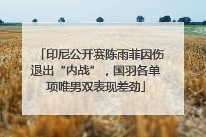 印尼公开赛陈雨菲因伤退出“内战”，国羽各单项唯男双表现差劲
