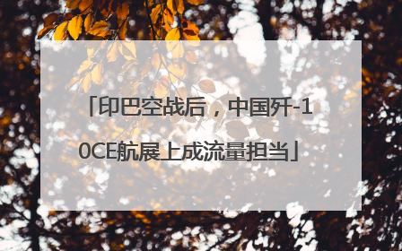 印巴空战后，中国歼-10CE航展上成流量担当