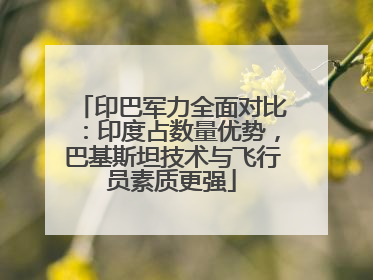 印巴军力全面对比：印度占数量优势，巴基斯坦技术与飞行员素质更强