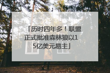 历时四年多！联盟正式批准森林狼以15亿美元易主