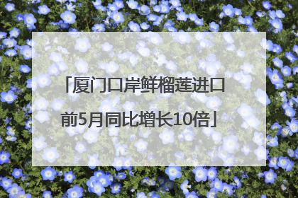 厦门口岸鲜榴莲进口 前5月同比增长10倍