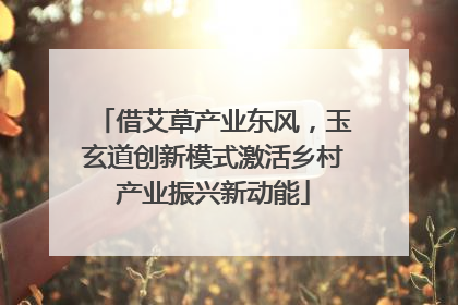 借艾草产业东风，玉玄道创新模式激活乡村产业振兴新动能