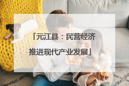元江县：民营经济推进现代产业发展