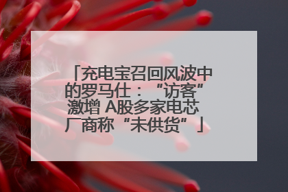 充电宝召回风波中的罗马仕：“访客”激增 A股多家电芯厂商称“未供货”