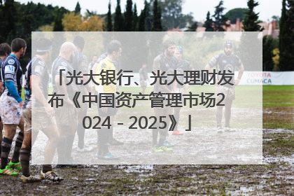 光大银行、光大理财发布《中国资产管理市场2024－2025》