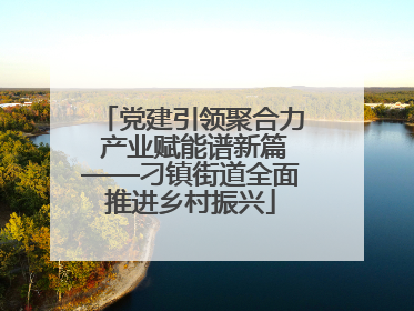 党建引领聚合力 产业赋能谱新篇——刁镇街道全面推进乡村振兴