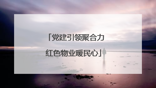党建引领聚合力 红色物业暖民心
